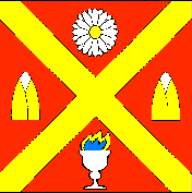 Флаг города Андрушевка